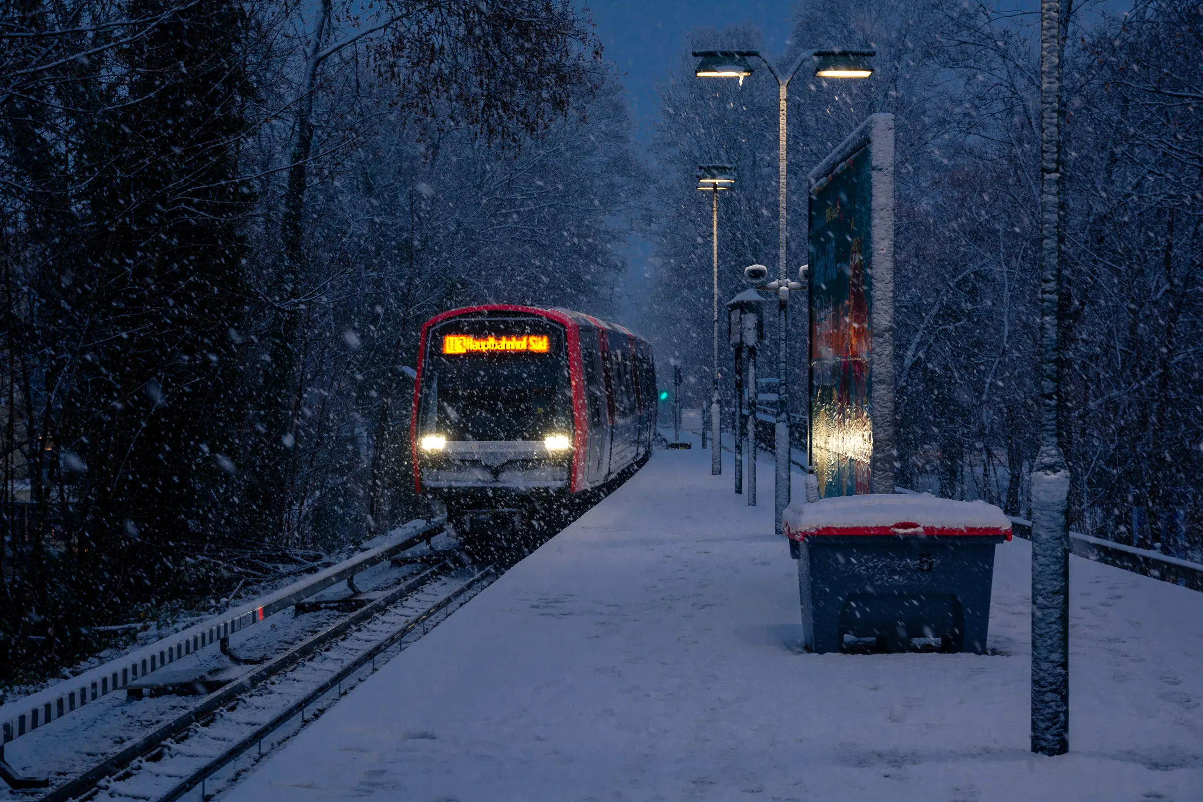 Winter Train