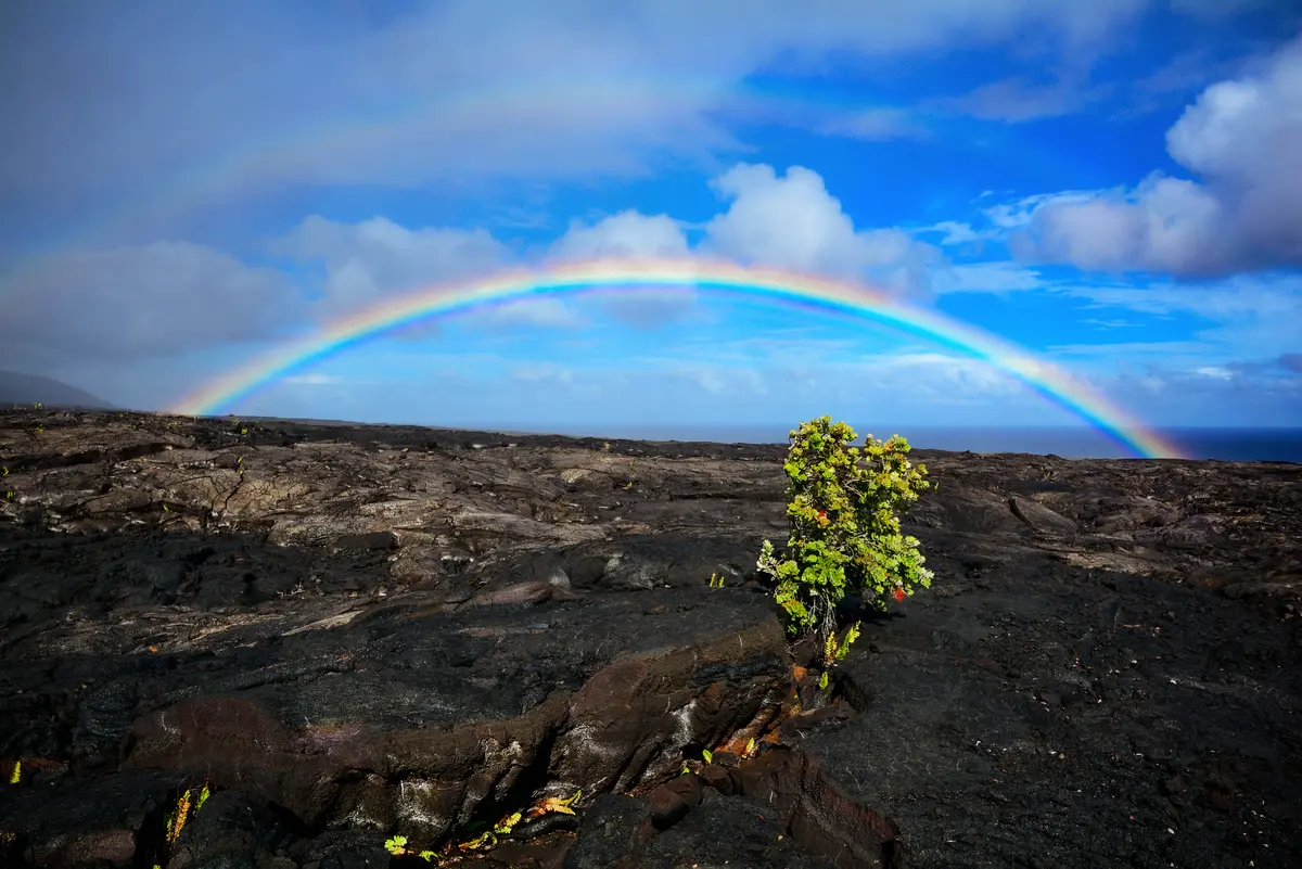 Hawaii Rainbow
