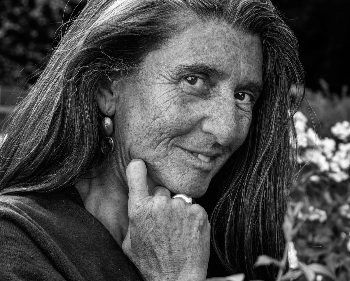 Heidemarie IV